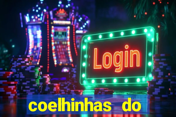 coelhinhas do brasil jp